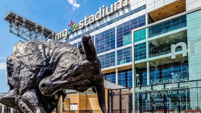Reliant Stadium